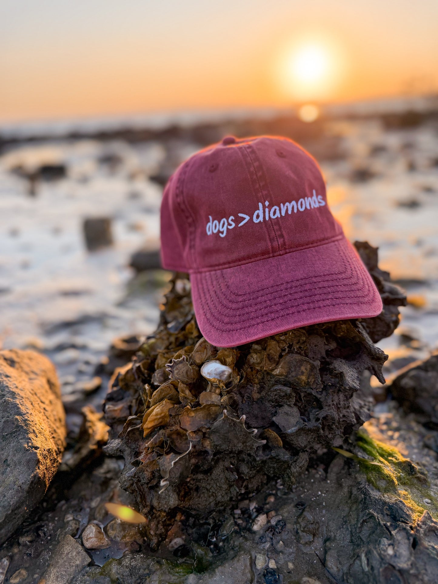 Dogs Over Diamonds Dog Mom Hat | Vintage Embroidered Cap